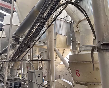 LINGSHUAI cat litter production workshop